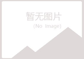 黑龙江夏青木材有限公司